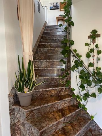 Apartment Neuhaus
